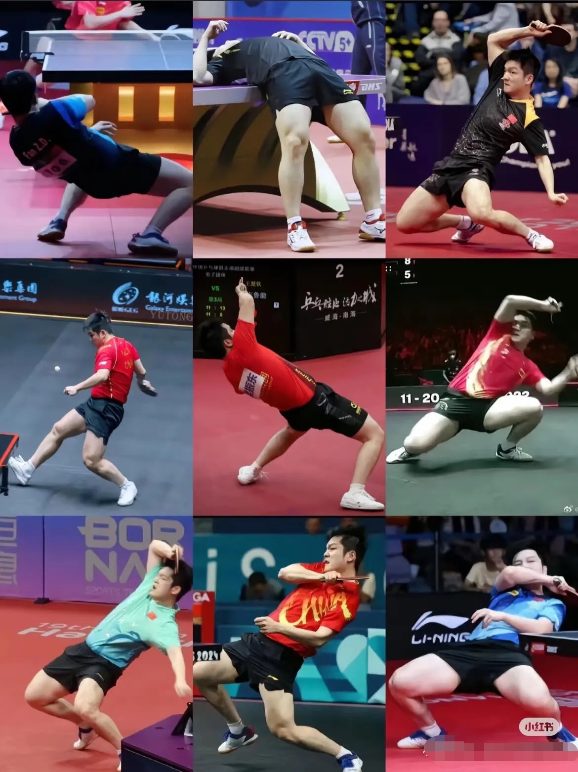 包含法国乒乓球队横扫德国乒乓球队，樊振东送出助攻的词条