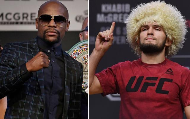 最新战报:拳击豪取连胜,冠军在望的简单介绍 最新战报:拳击豪取连胜,冠军在望的简单介绍