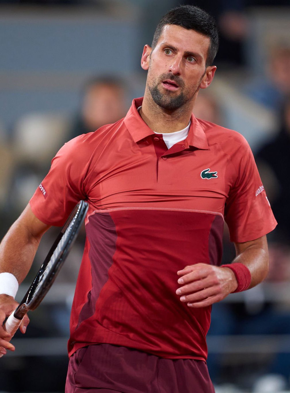 澳网轻取联合杯，德约科维奇惊艳四座