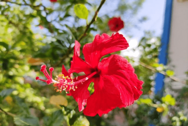 赛季风云再起，前途一片光明