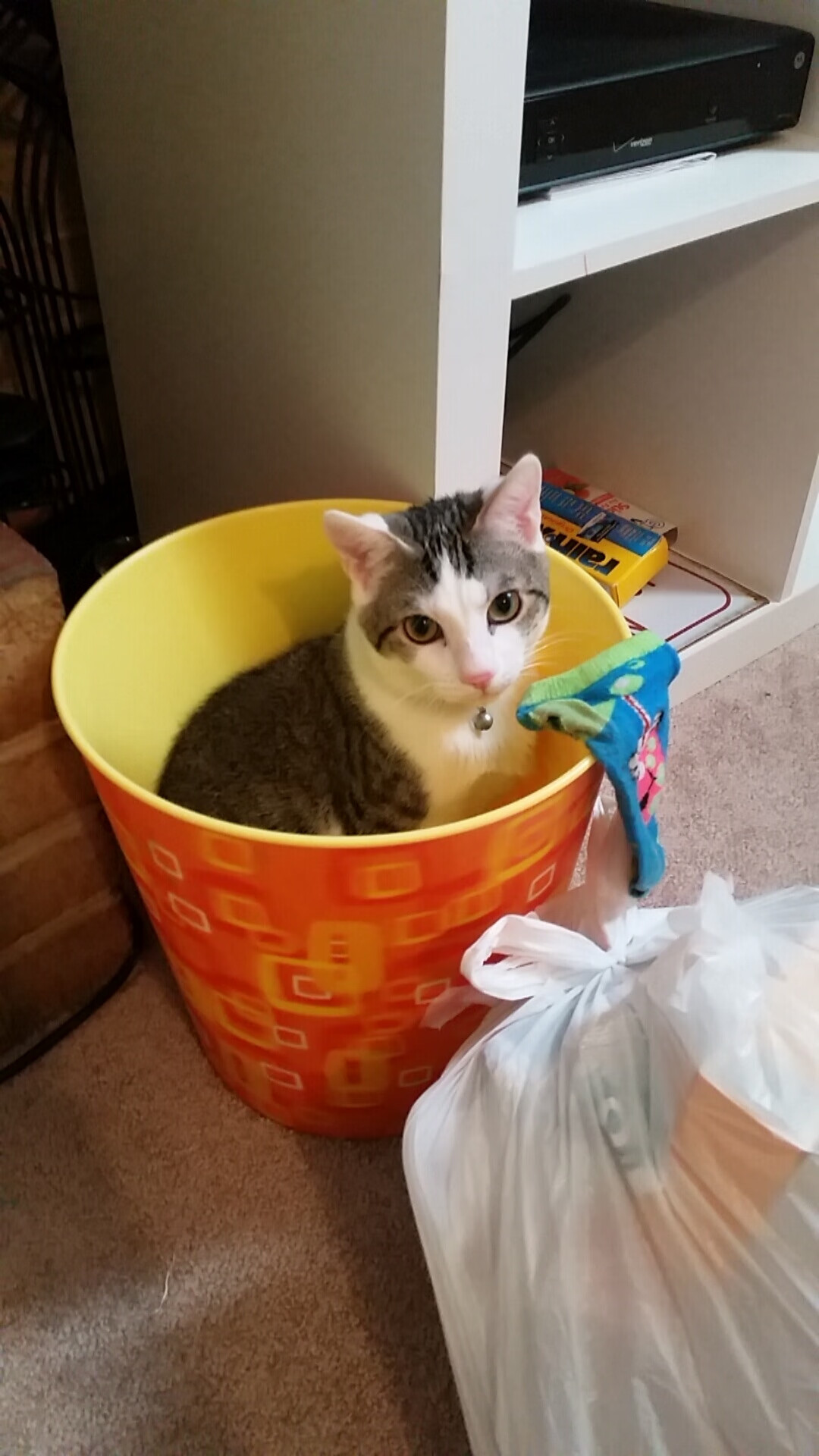 险胜与统治，绿茵场的绝杀与乒乓台的独舞