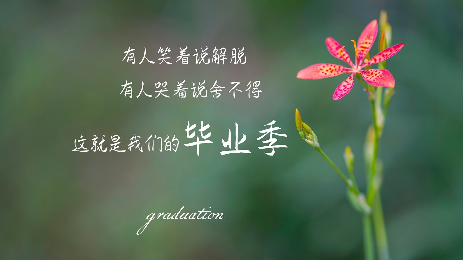 从黯然到闪耀,鲁德如何将美网阴影锻造成年终高光