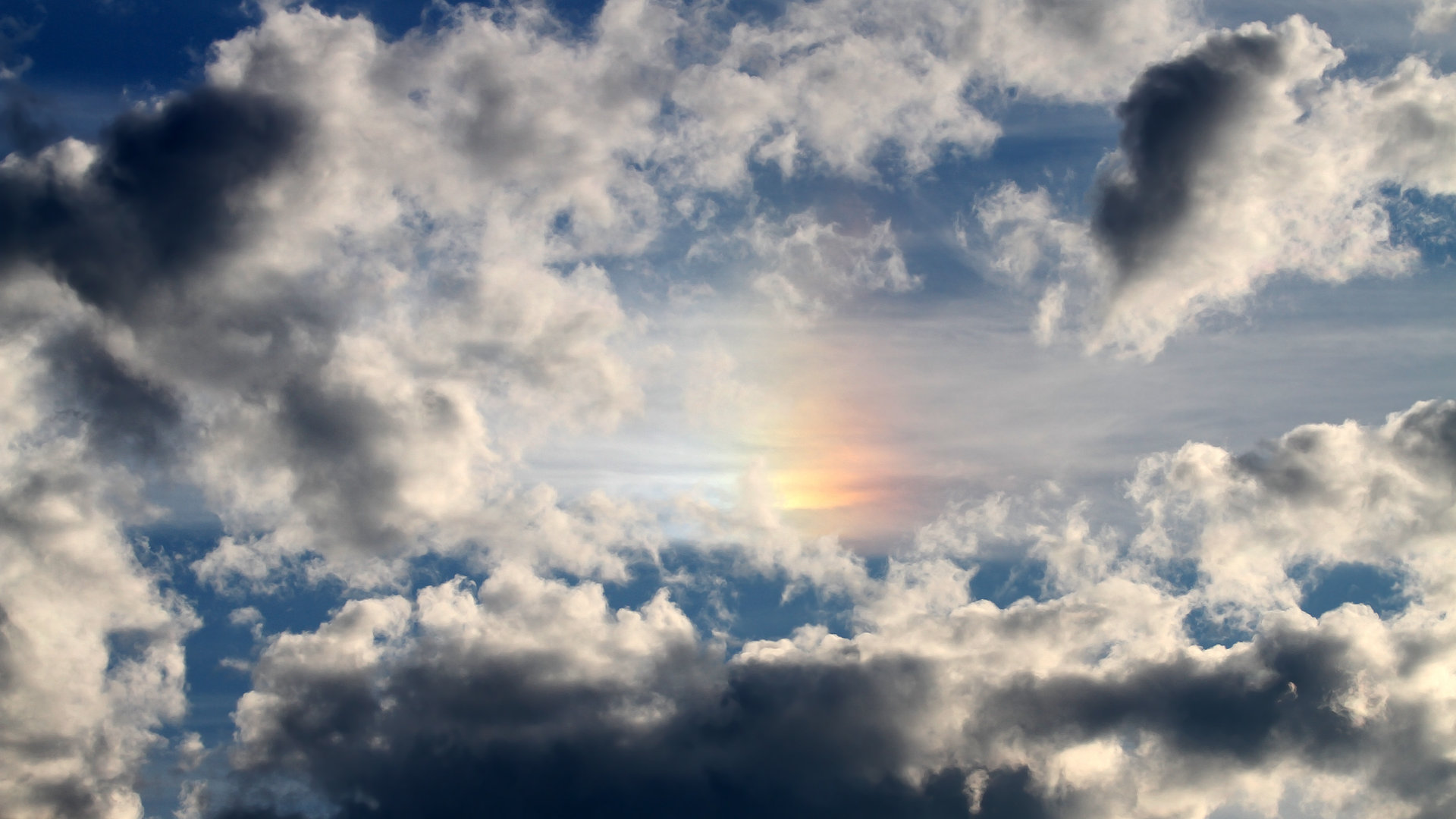 马龙维也纳之夜,统治全场助奥地利队力克波兰队