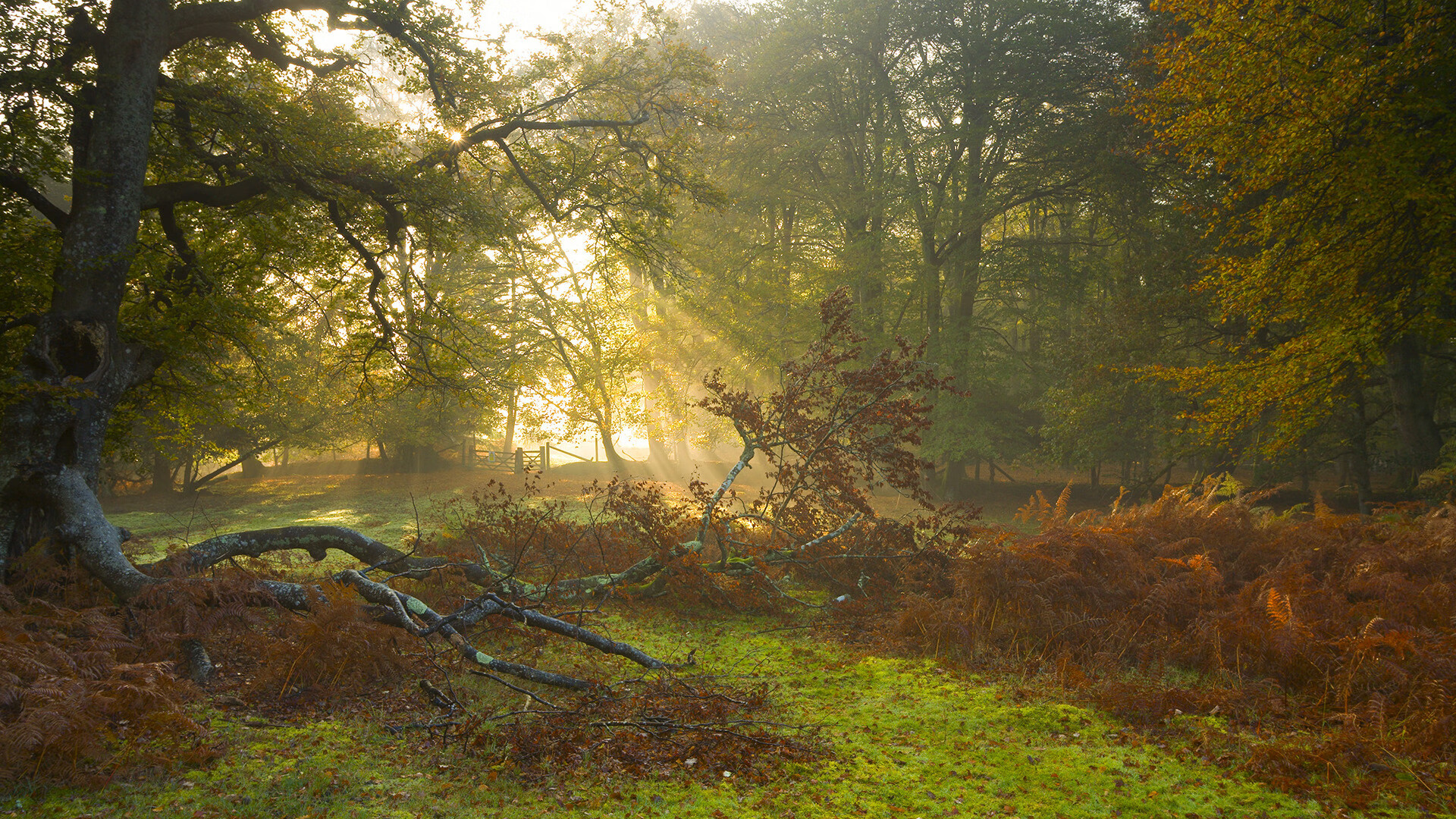 掌控的艺术，上海队如何用节奏的提线令北京队迷失于抢七迷雾