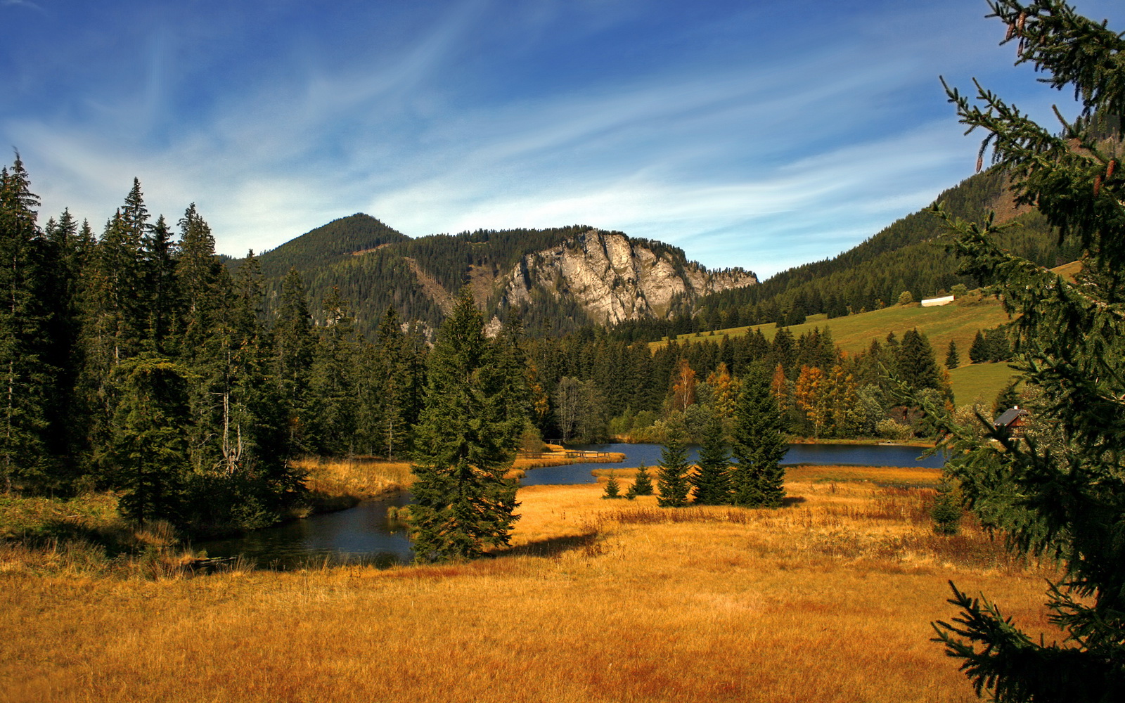 欧冠半决赛之夜，众星皆醉我独醒，霍勒迪全场最佳无争议