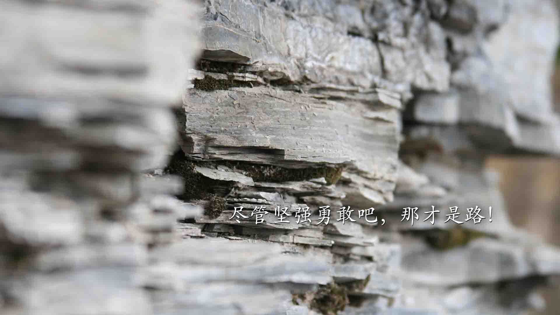 雷霆军团鏖战北境守卫,哈利伯顿终成关键先生