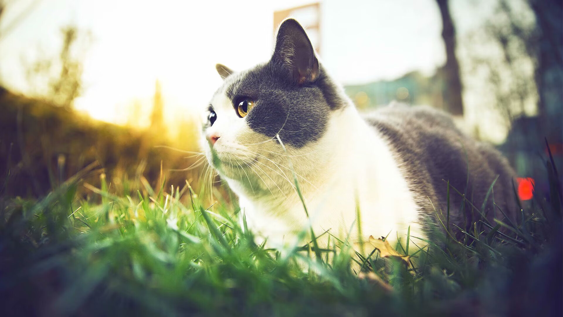 太原魔咒终结！欧文49分钟苦战砍40+成猛龙客胜山西关键先生