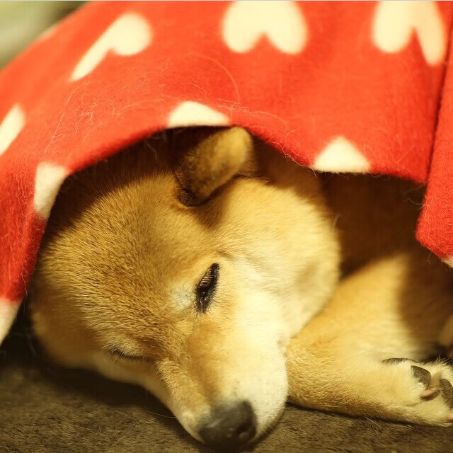 绿茵场上的NBA式绞杀,2026世界杯焦点战,活塞式硬仗击溃热火意志