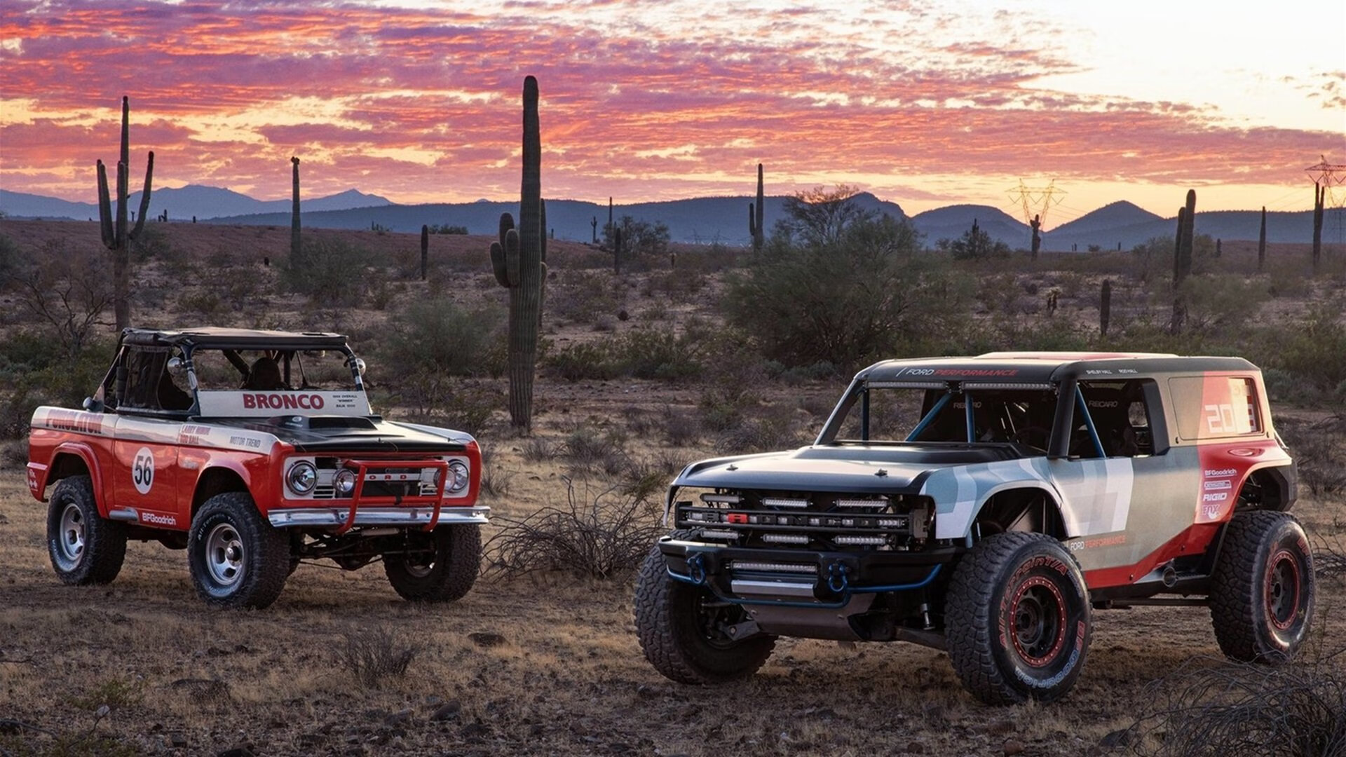 富安健洋的战术密钥,爱尔兰横扫沙特的幕后英雄