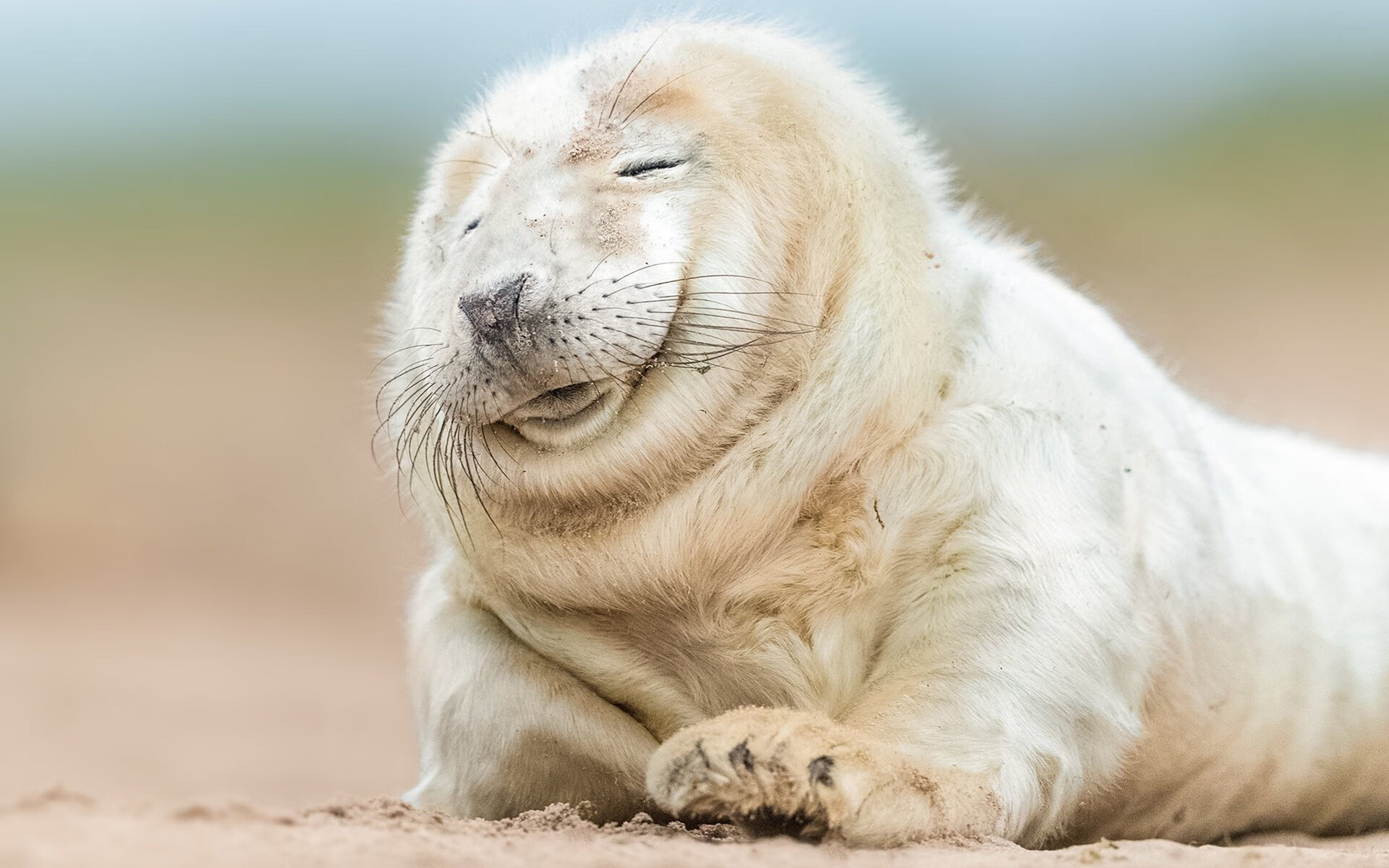 东方城墙 vs 费城天赋,爱德华兹冠军级表现如何被北京队强行终结