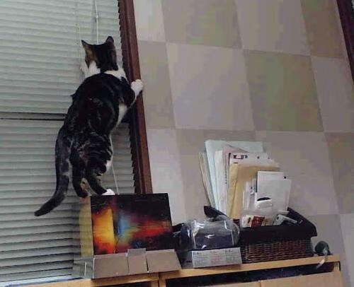 欧洲最不可能的大戏,无豪门摩纳哥如何欧冠狂胜国米,加克波只手导演出这唯一剧本?