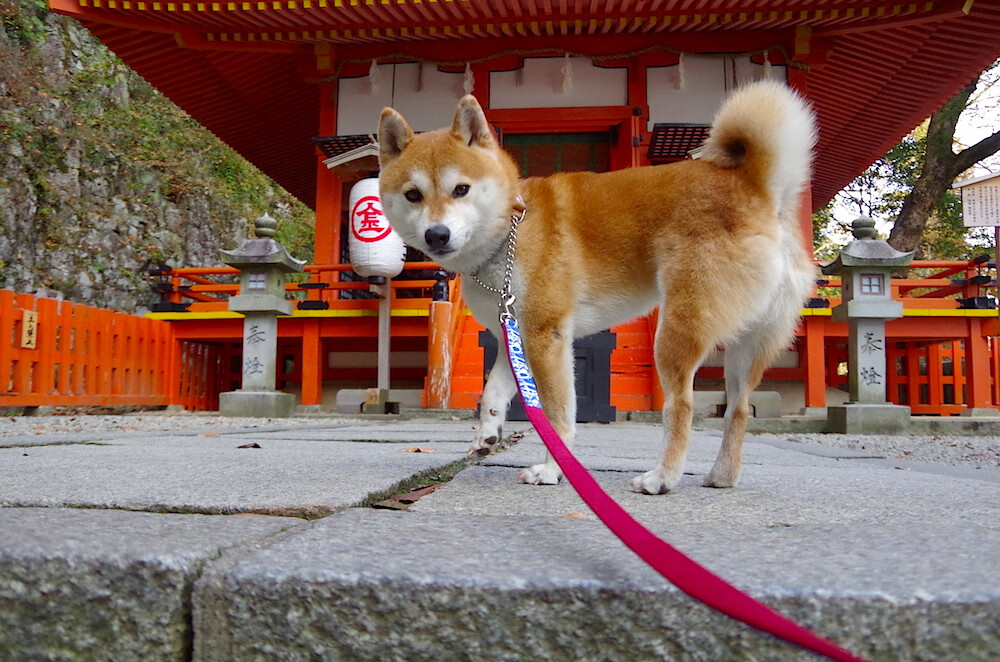 美加墨夜幕下的定海神针，巴斯托尼一战封神的雨中之舞