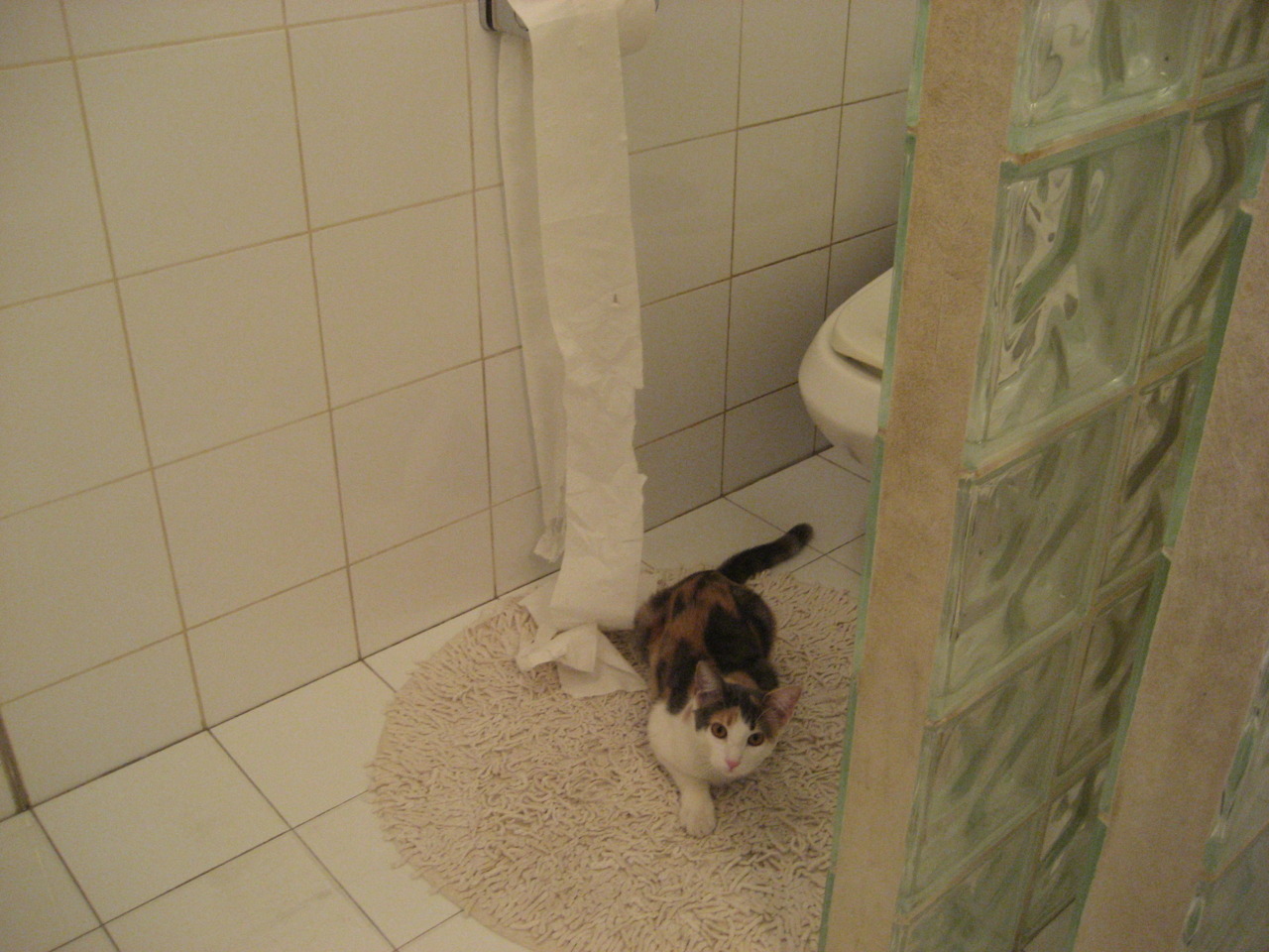 西卡处理器，稳如服务器，当黄蜂的冲浪撞上魔术的代码，他是唯一的常量