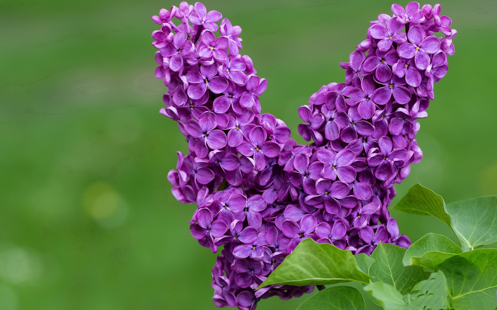 时间的两个象限,当太阳带走公牛,哈登于西决生死战接管比赛