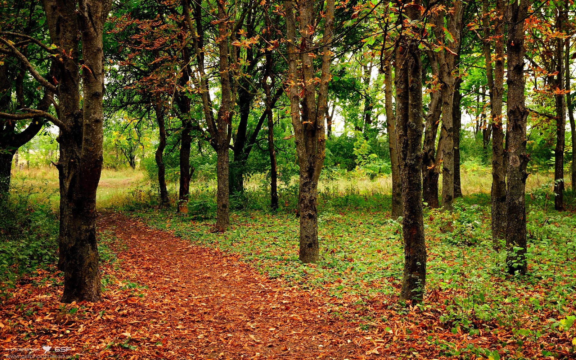 当东方雄狮遭遇高原铁壁,杜兰特在平行宇宙的篮球炼金术