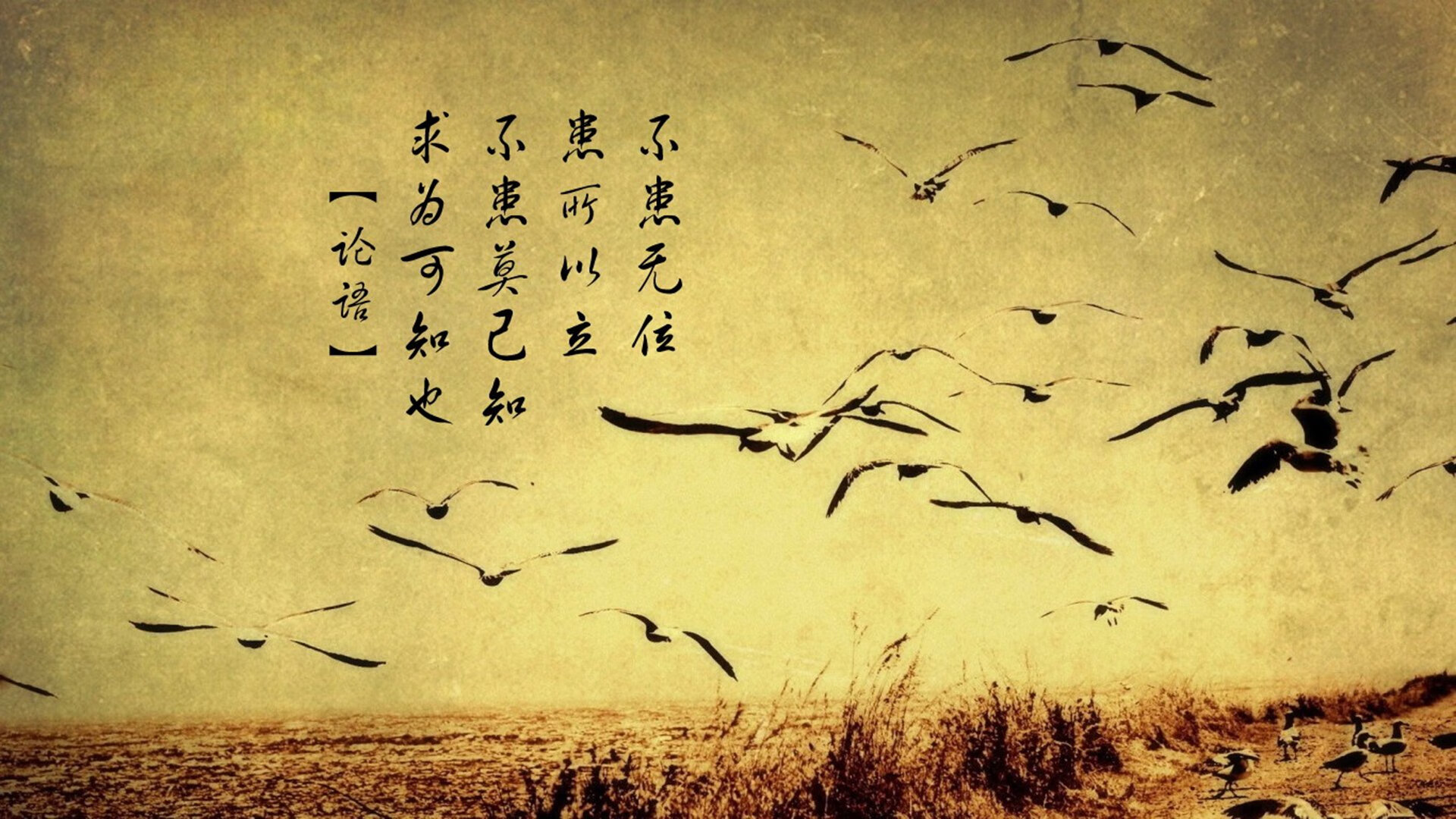 双舞台的终极接管,当乔治在两种时区投出绝杀球