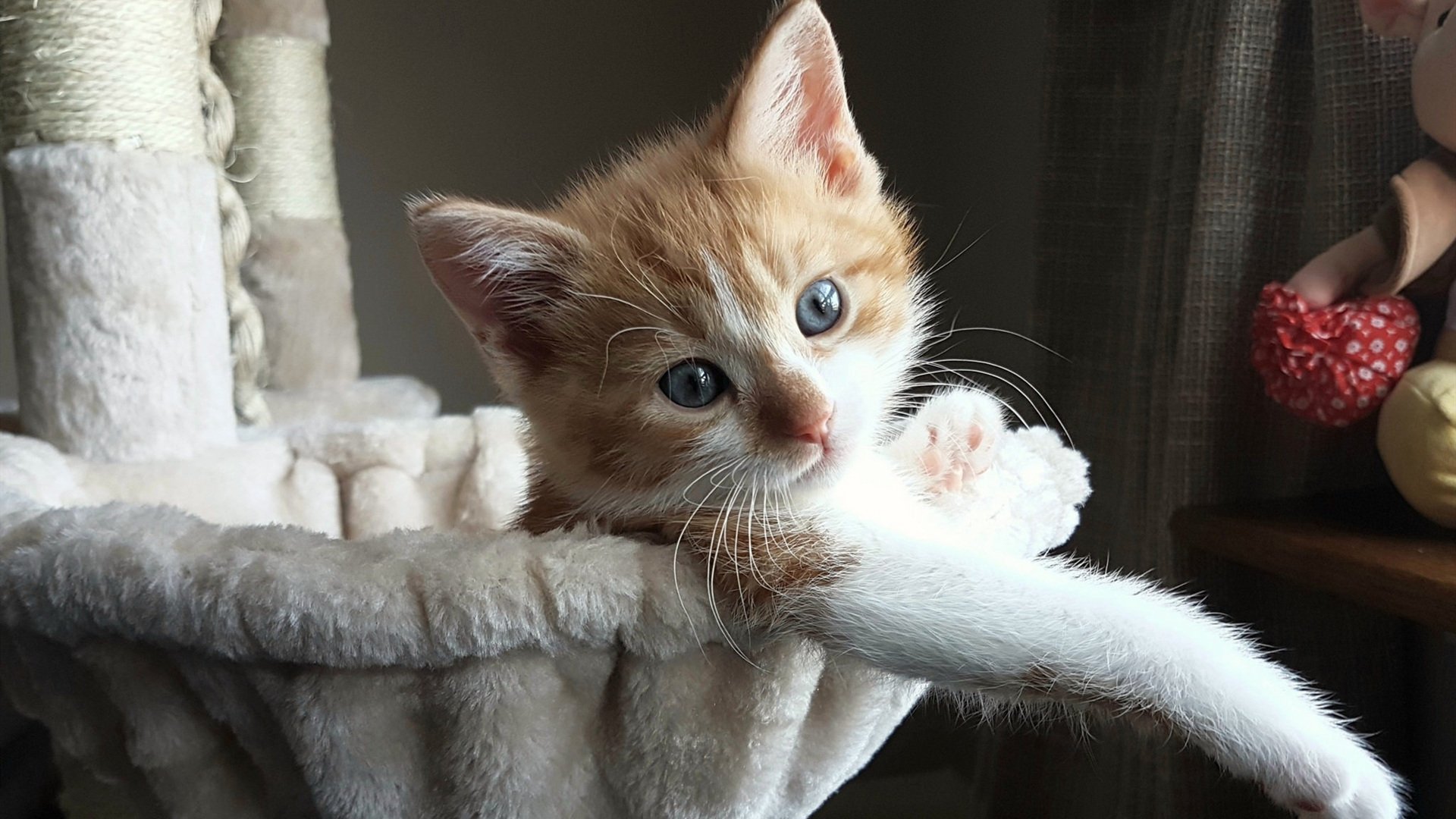 爱游戏官网-引擎全开与窒息攻防，当F1超车哲学降临篮球场